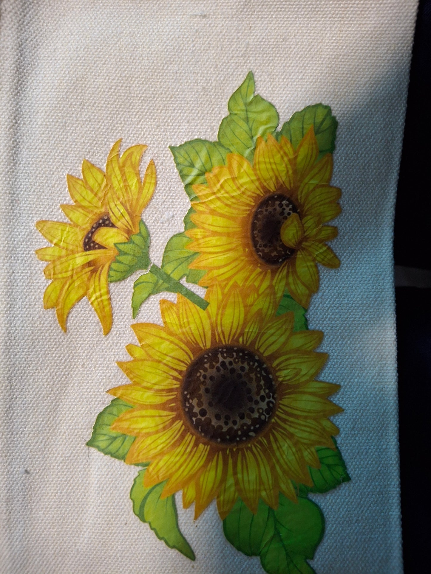 Pencil cases with transfers